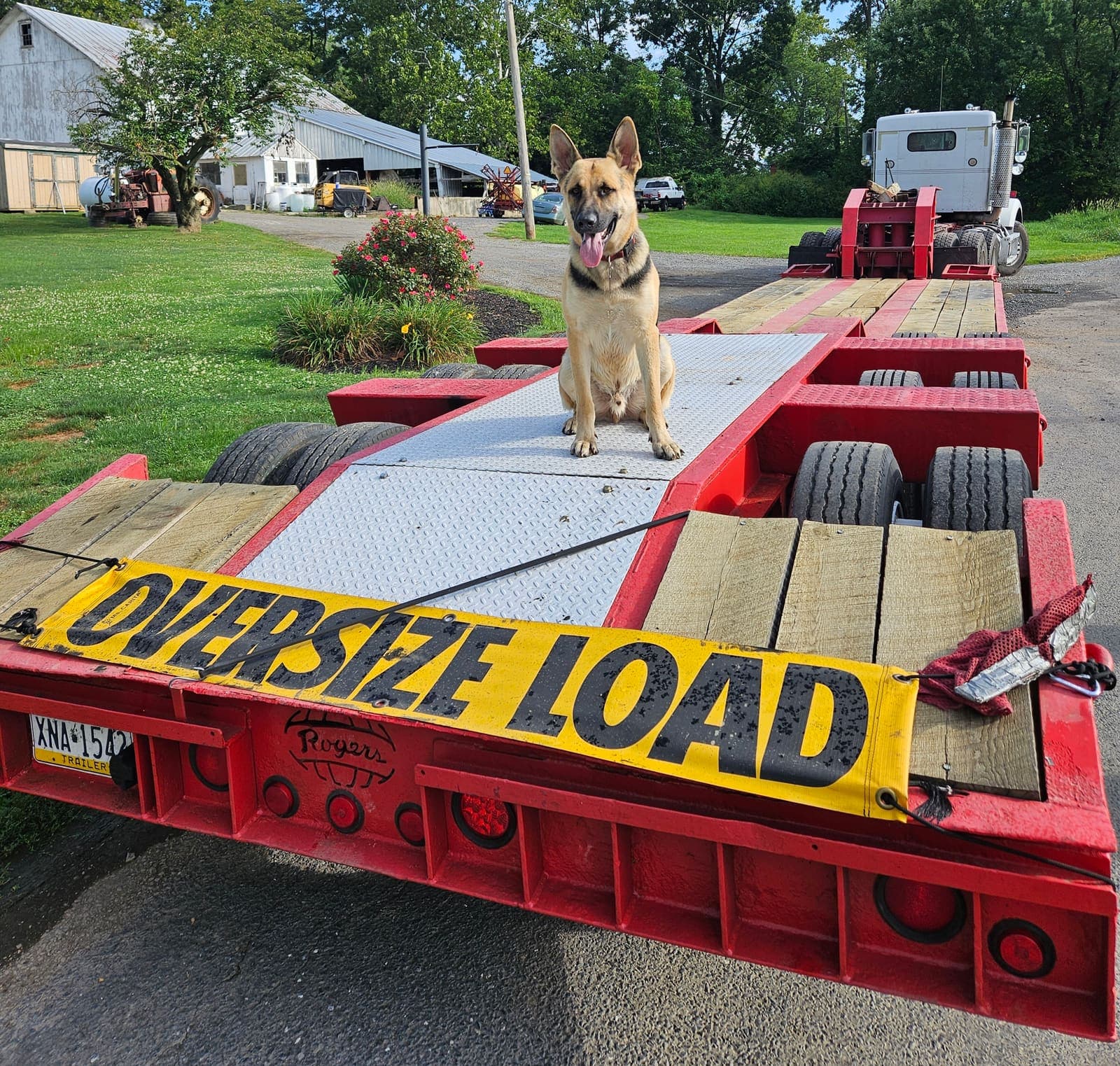 On the job — even our four-legged crew member approves.